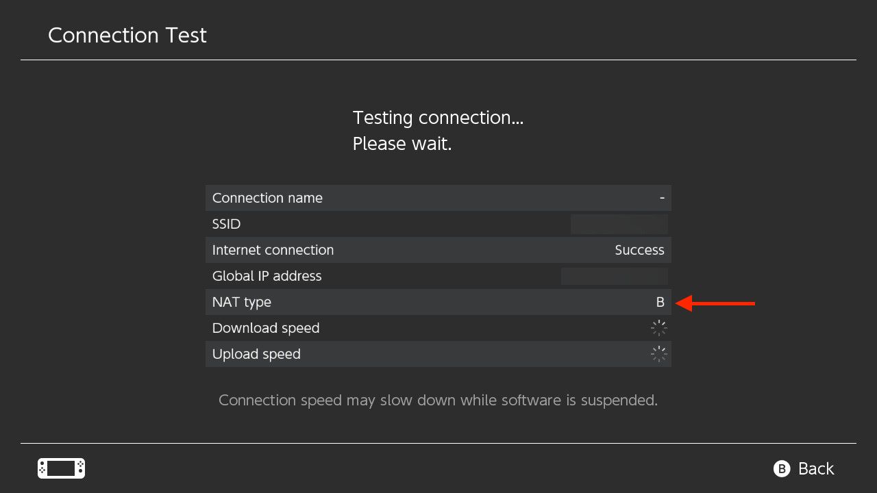 Nintendo Switch connection test with NAT type highlighted.