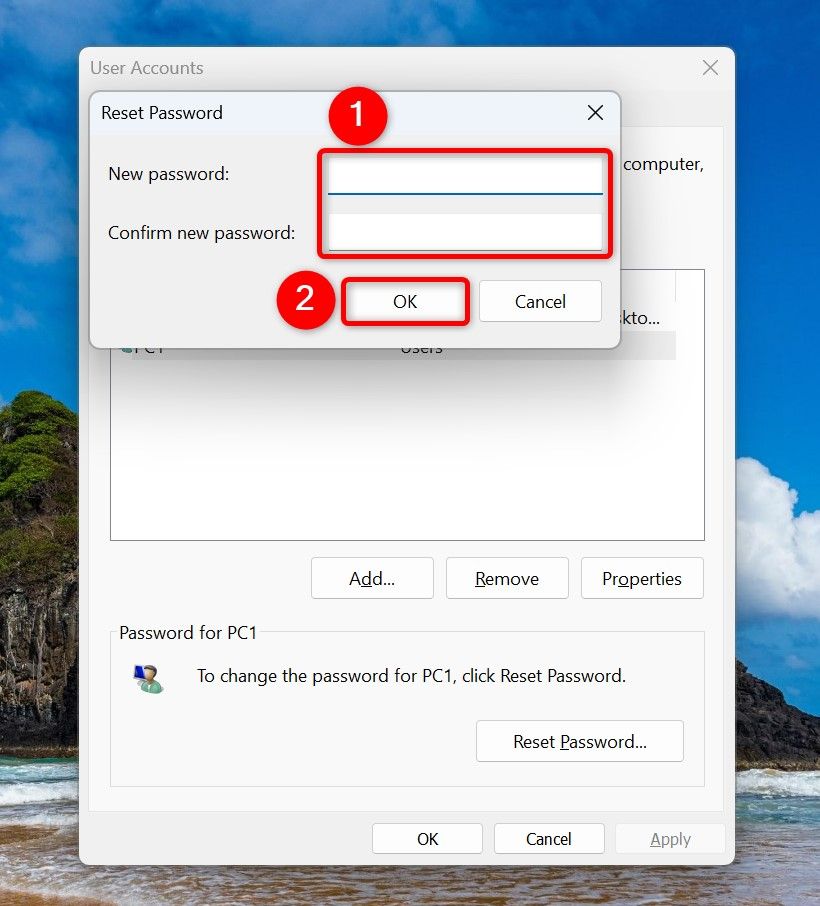 The 'Reset Password' dialog box.