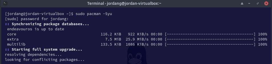 A Linux terminal showing the pacman package manager checking for available upgrades.