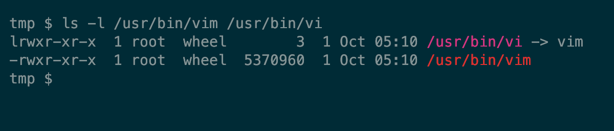 A macOS terminal showing the vi binary symlinked to vim.