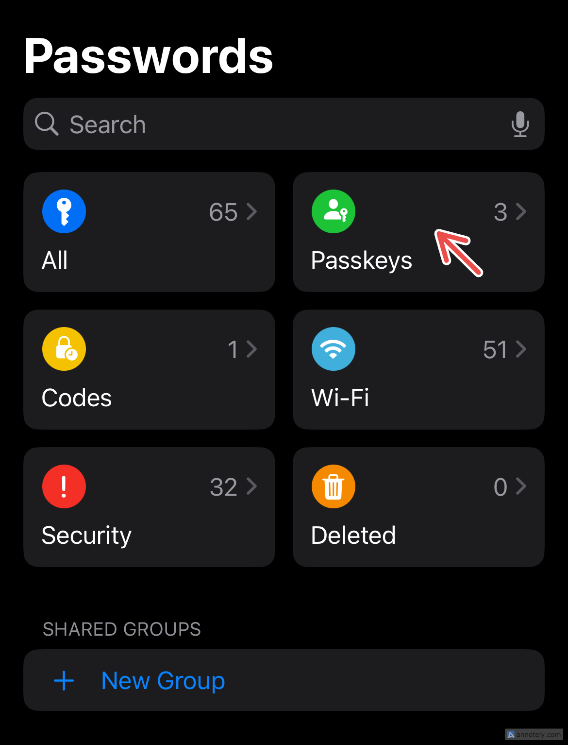 Passkeys on the Passwords app.