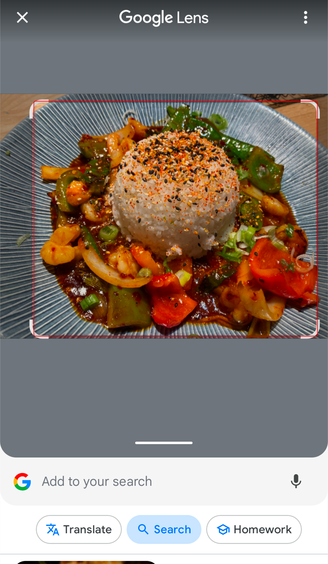 Japanese dish from restaurant being searched on Google Lens