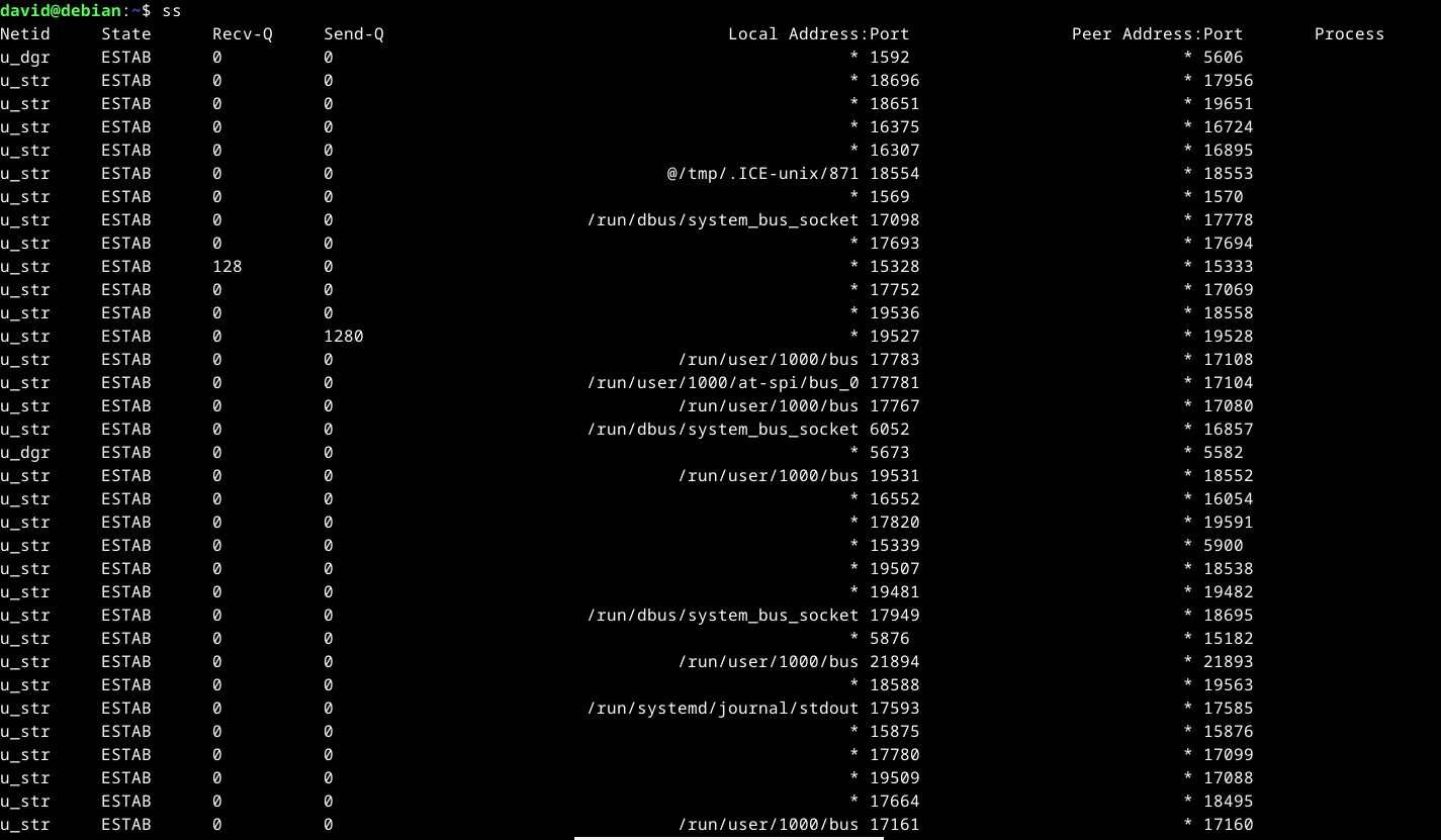 Output of ss command in the Linux terminal.