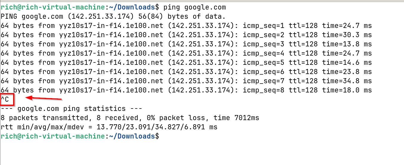 Using CTRL+c to stop a comand in Linux.