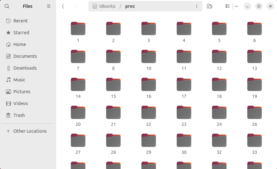 The proc directory in a file browser on Ubuntu Linux.