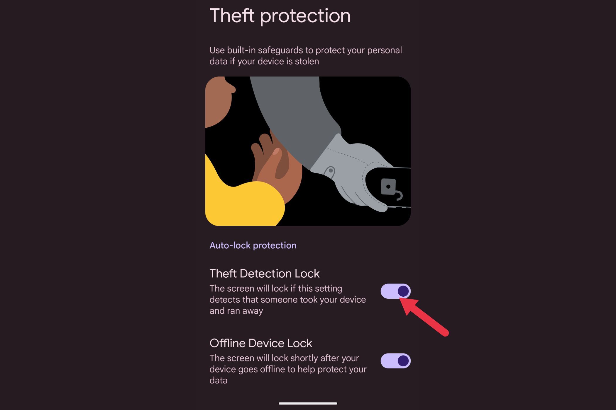 Theft Protection Setting Step 4