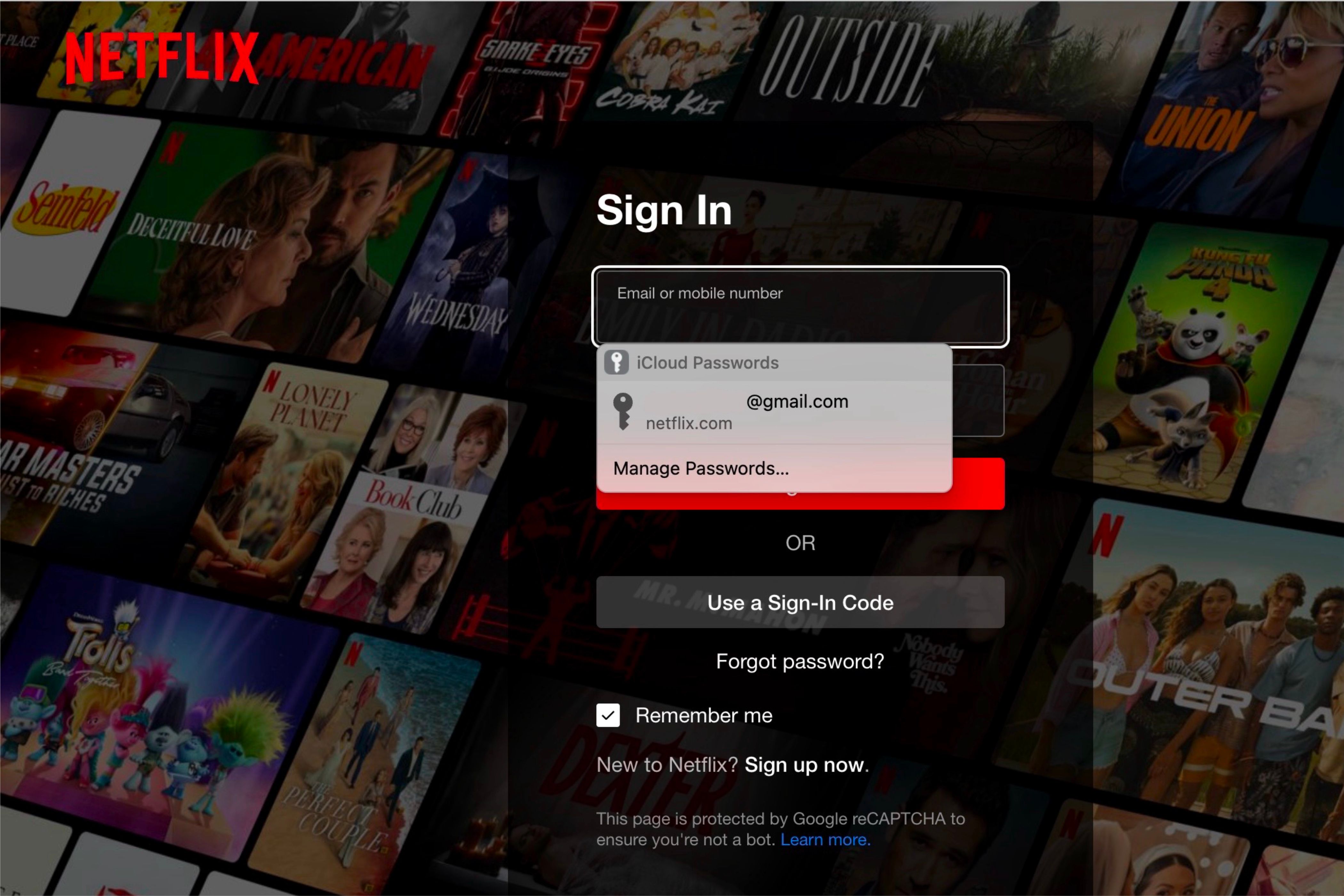 Logging into Netflix with iCloud Passwords Extensions.