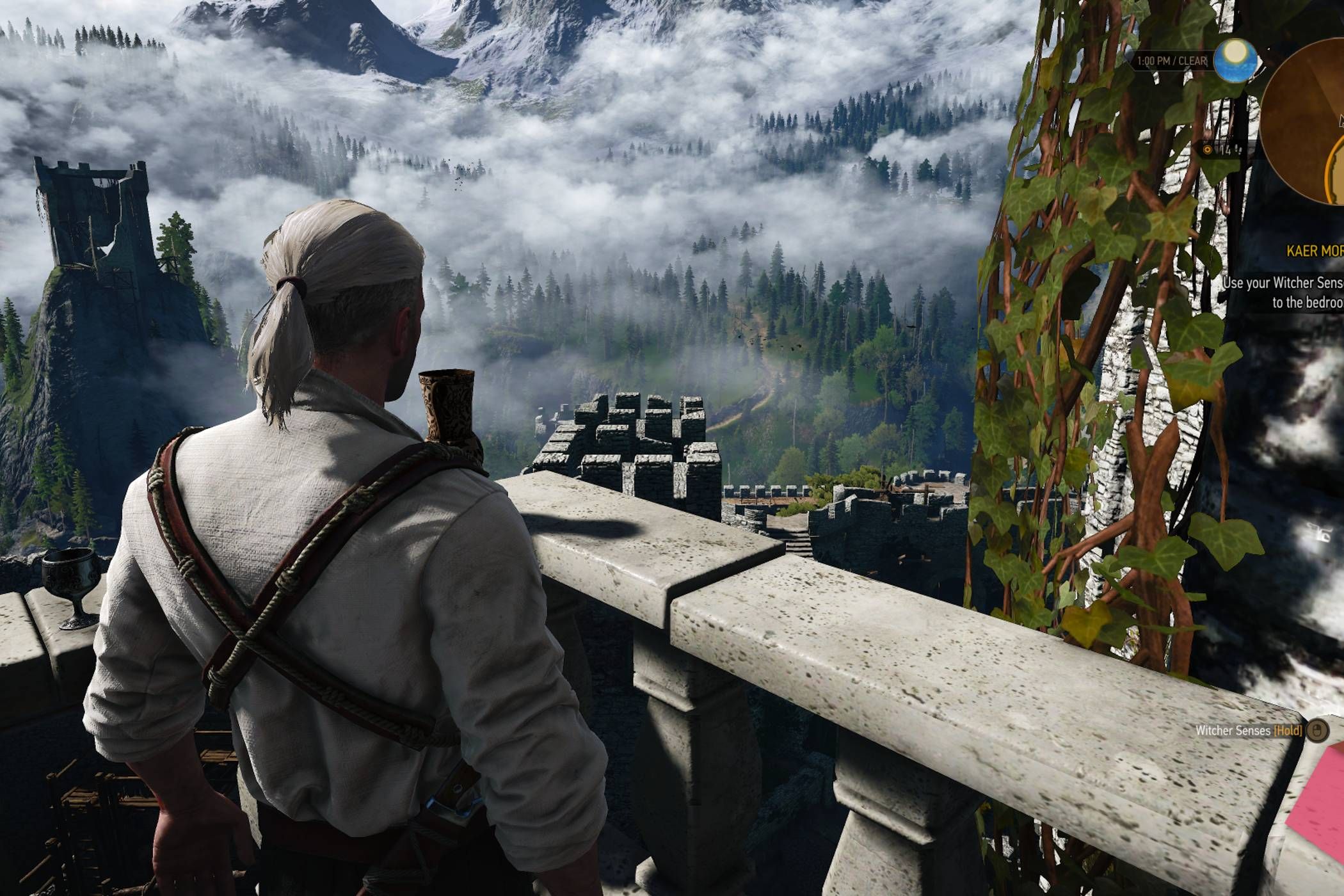 Geralt of Riveria looking out into the distance in the Witcher 3.