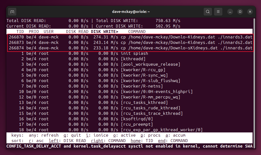 The output from iotop with three suspicious processes highlighted.