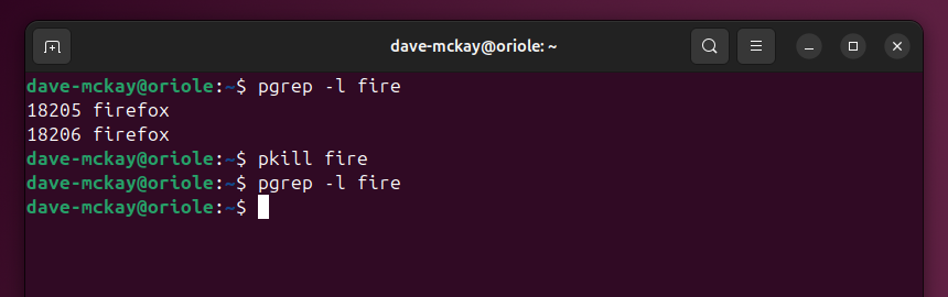 Using pgrep to search for procesess with fire in their name, using pkill to kill them, then verifying with pgrep they have been terminated.