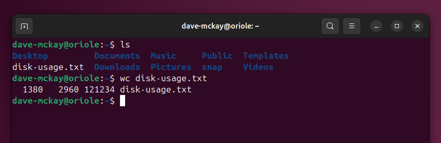 Counting the number of lines in the disk-usage file containing the redirected output from du.