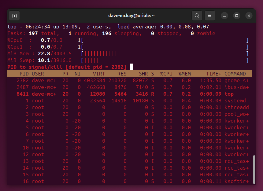 The top program running in a terminal window with graphs and color enabled.