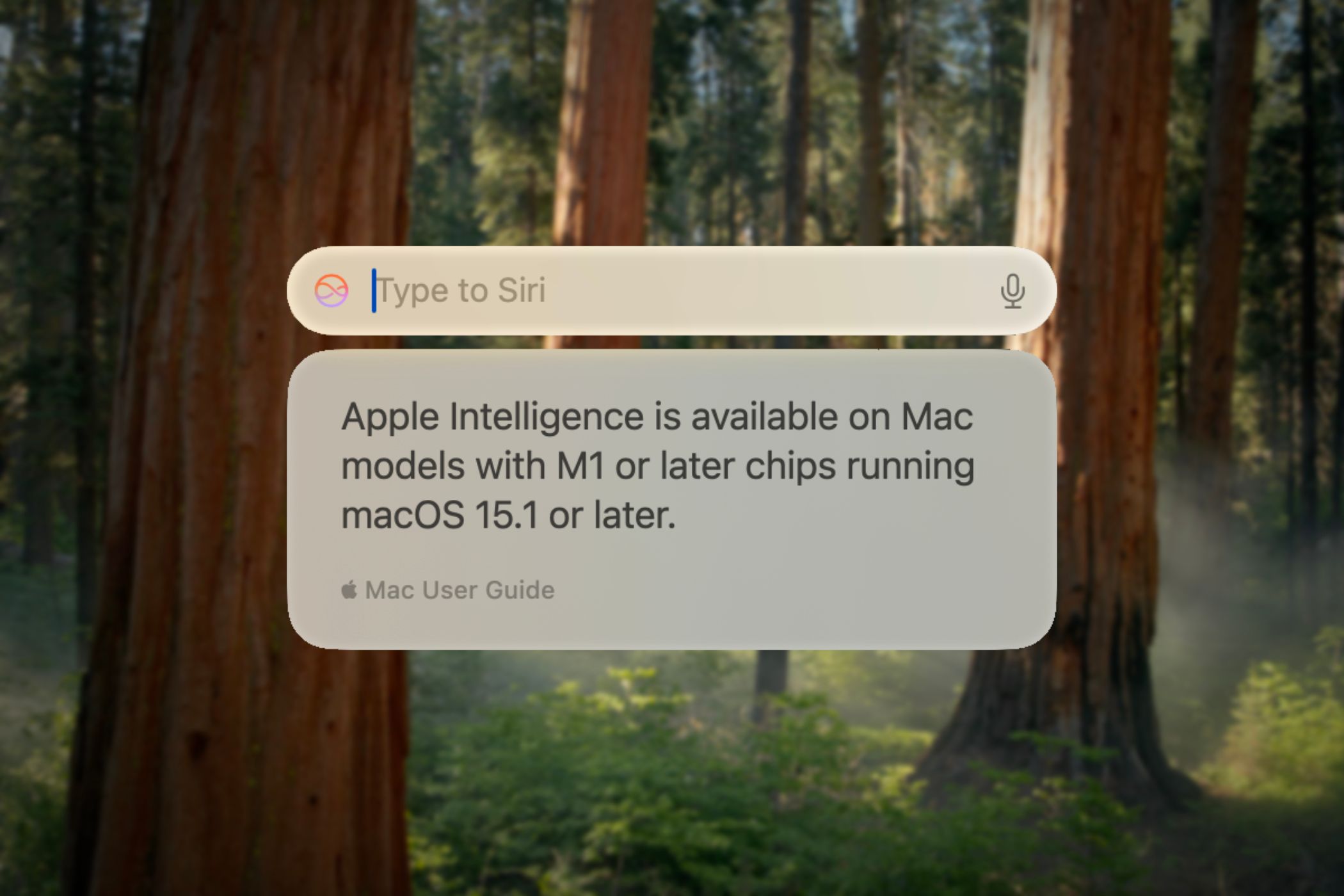 Your Guide to Using Siri on the Mac