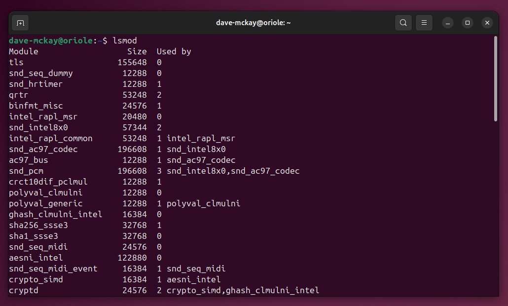 Listing the loaded kernel modules with the lsmod command.