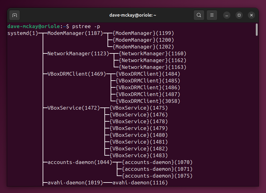 Using the -p option with pstree to include PIDs in the tree display.