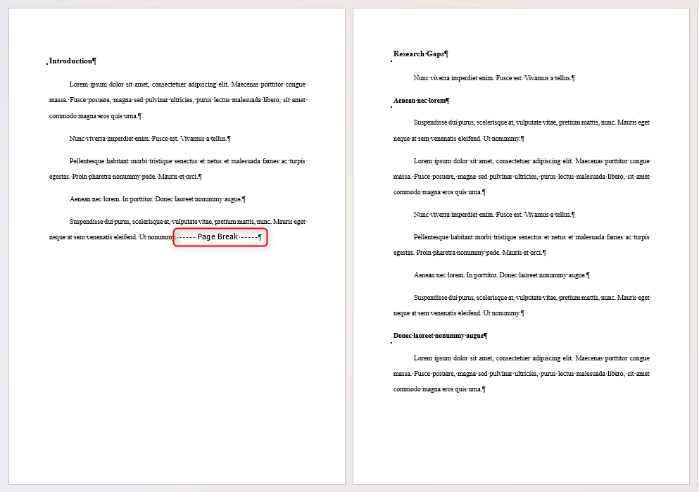 A Page Break in an academic document in Microsoft Word.