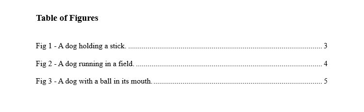 A table of figures in Microsoft Word.