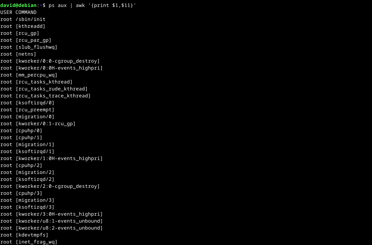 Using the awk command with input from the ps command to pick out username and command fields in the Linux terminal.