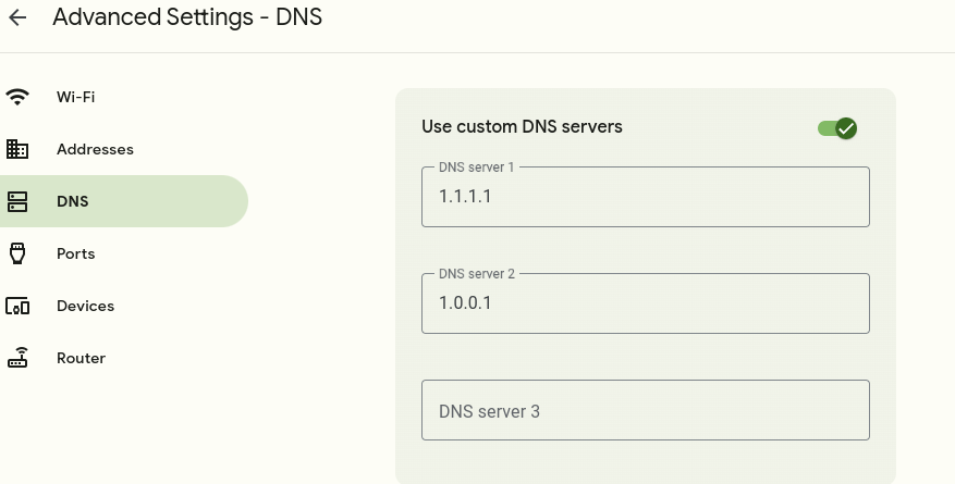 Changing DNS servers in a Google Fiber router settings page.