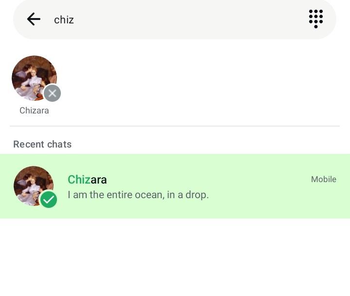 Выбор контакта для упоминания WhatsApp.-1