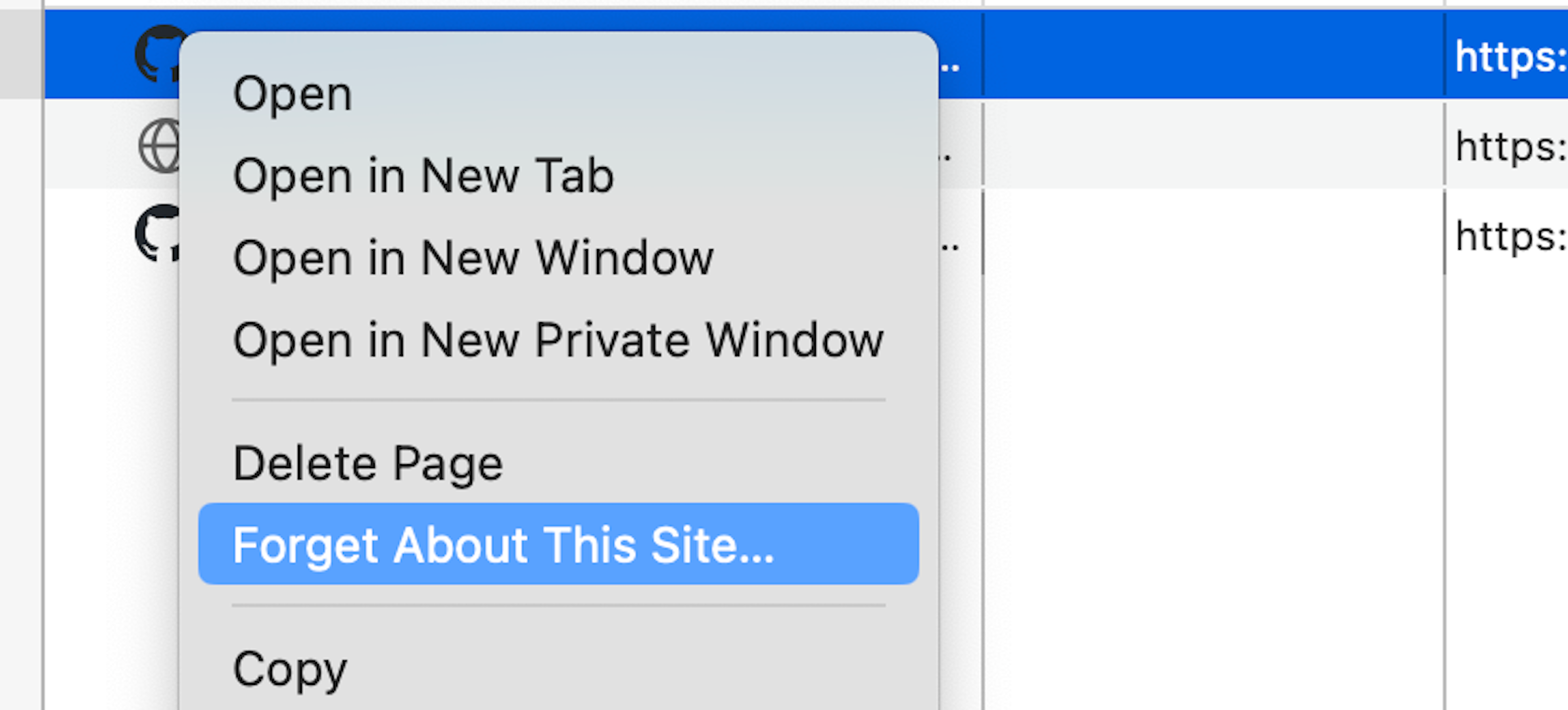 Choosing Forget About This Site from the Firefox drop-down menu.