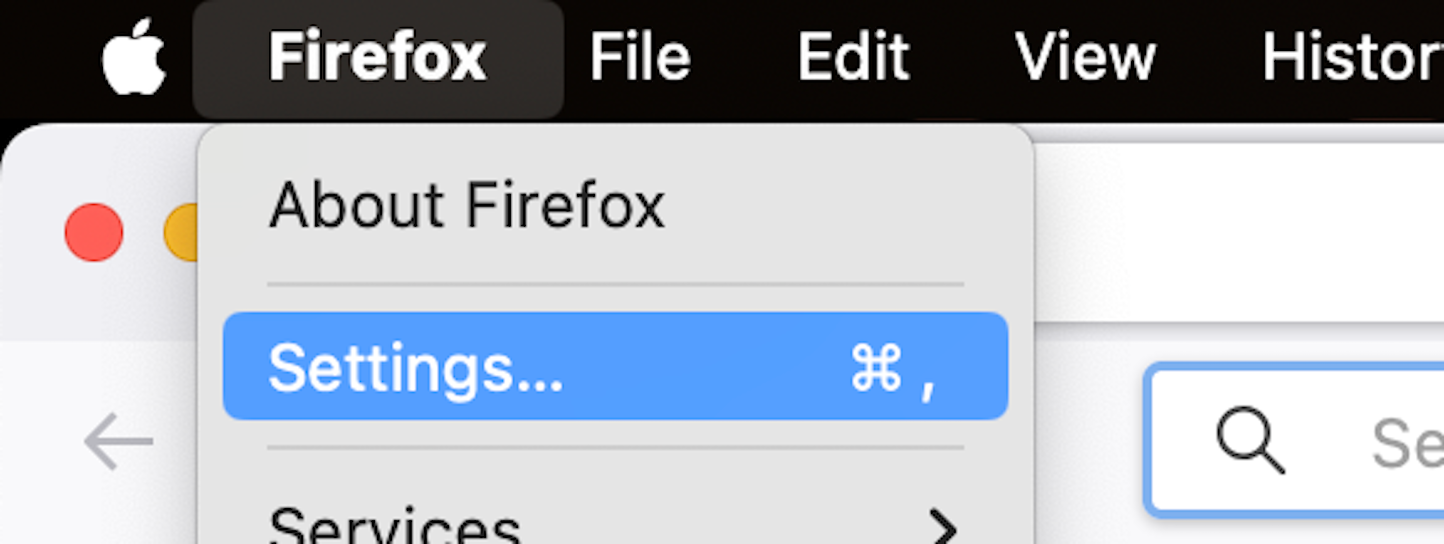 Opening Settings in Firefox.