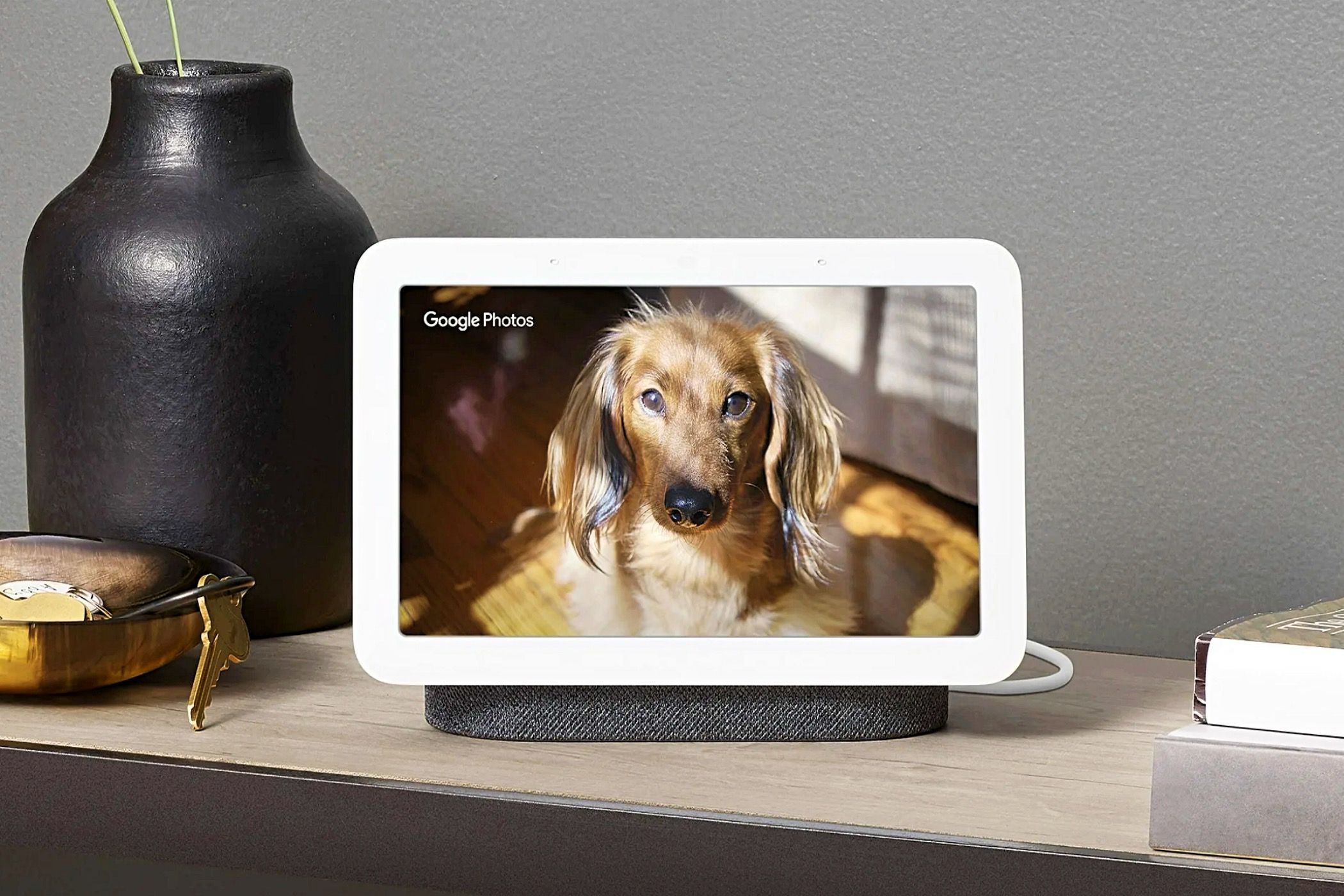 A Google Nest Hub 2nd Gen with a photo of a dog on the display.