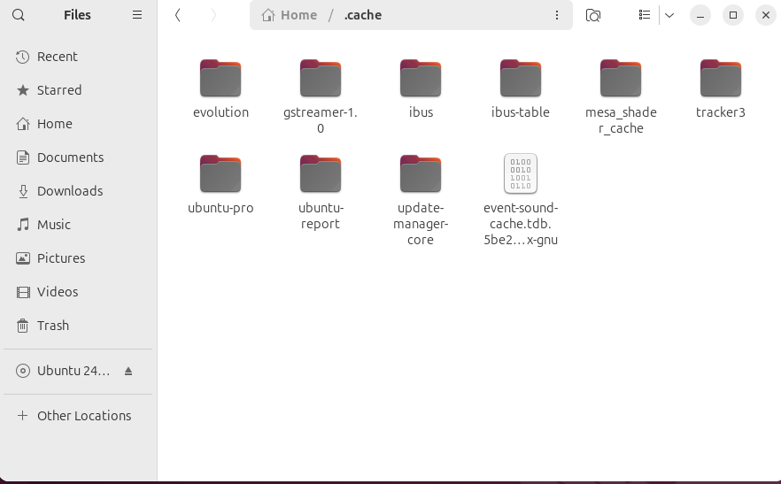 Ubuntu file explorer showing files inside hidden cache directory.