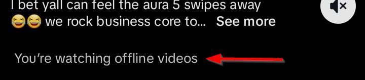 Text that reads 'You're watching offline videos' at th ebottom of the screen