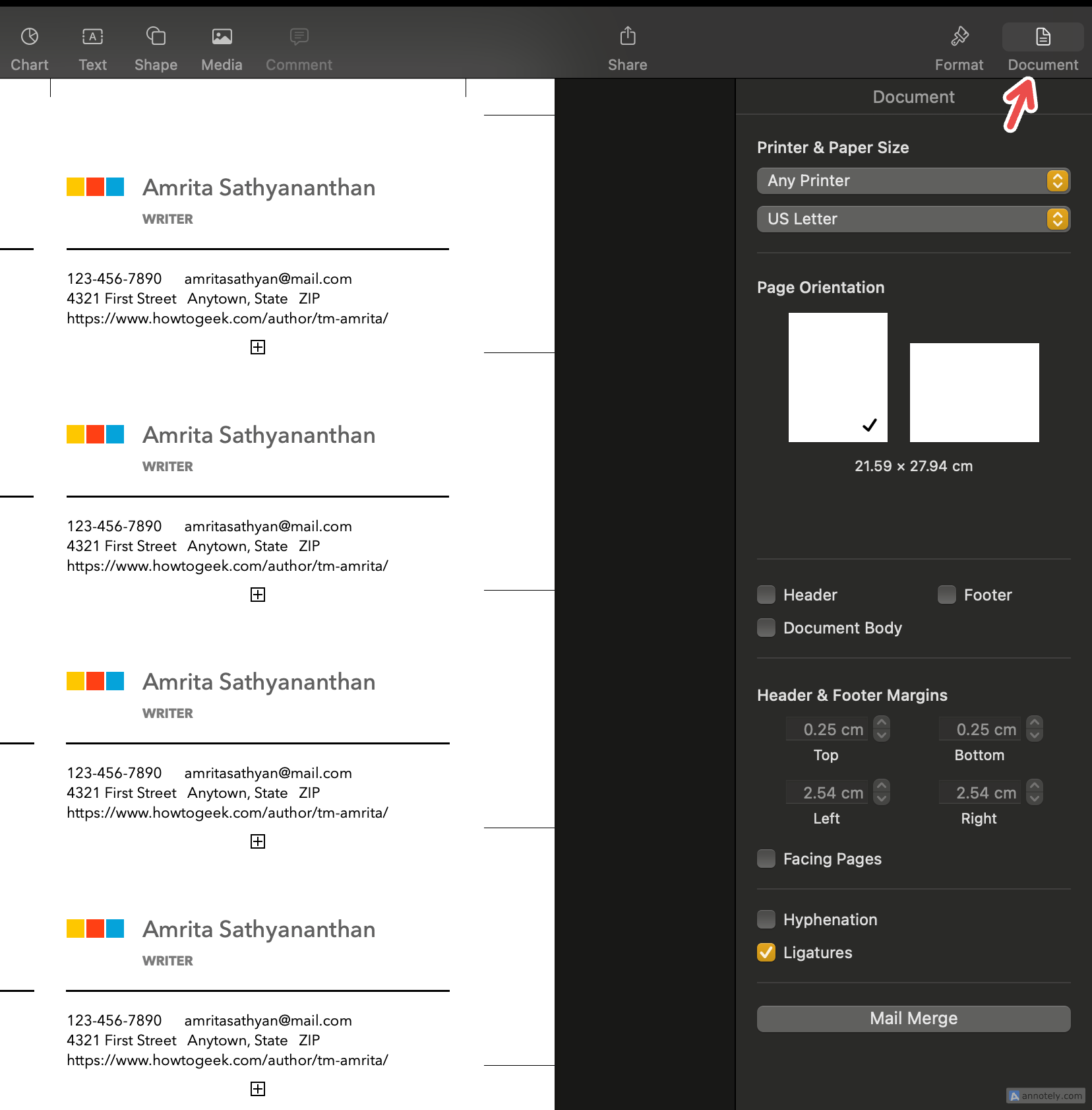 Document layout settings on Apple Pages.