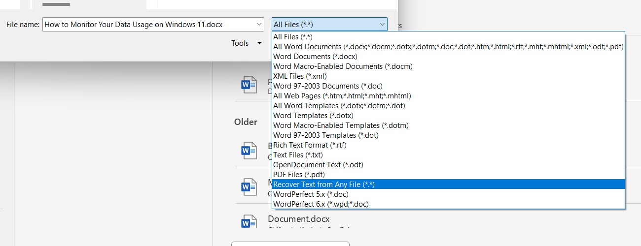 The "Recover Text From Any File" option in the Open dialog box for Microsoft Word on Windows.