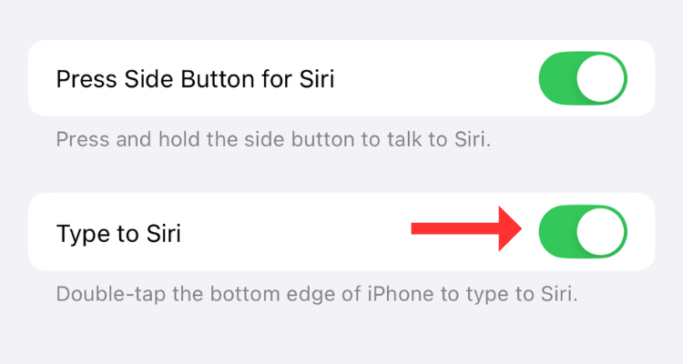 Screenshot of the Talk & Type to Siri menu with an arrow next to the Type to Siri toggle.