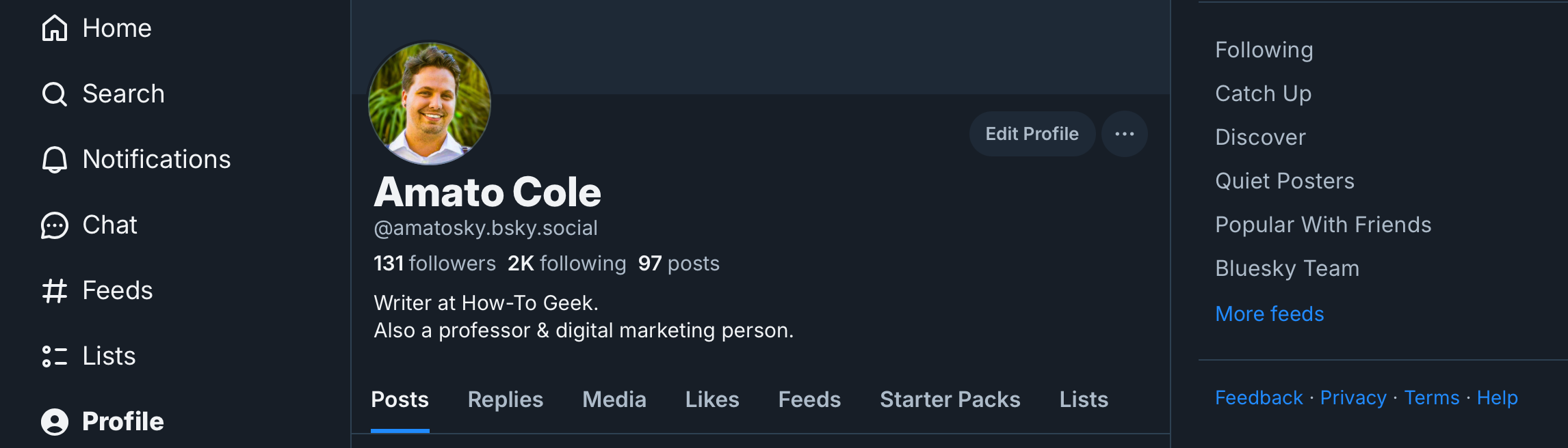 Скриншот профиля Bluesky.