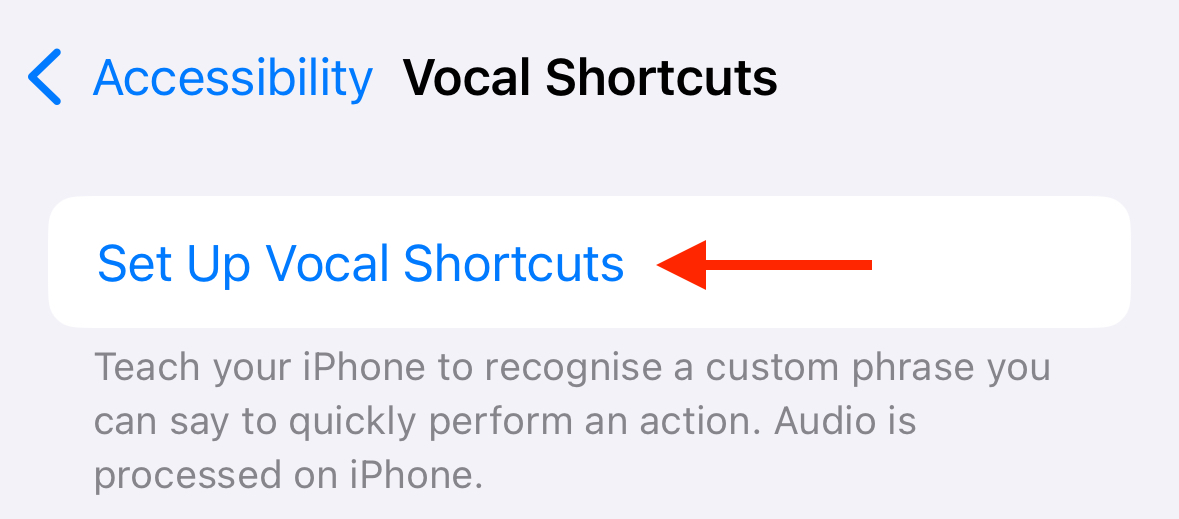 Set up voice commands in iPhone accessibility settings.