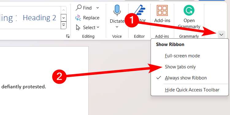 Enabling "Show Tabs Only" in Microsoft Word on Windows.