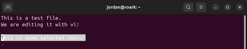 Text selected at the end of a file open in the vi text editor.
