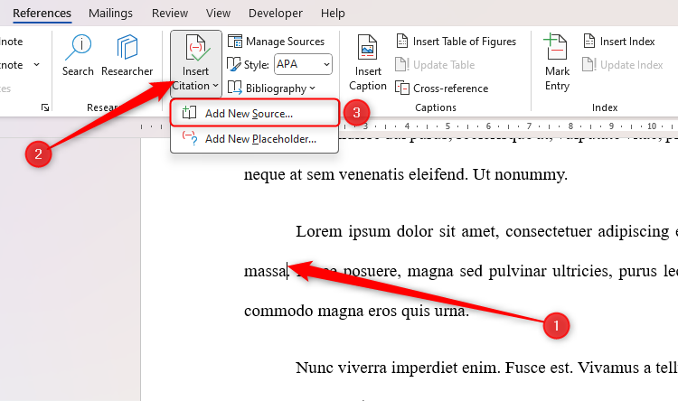 The Add New Source option for citations in Microsoft Word.