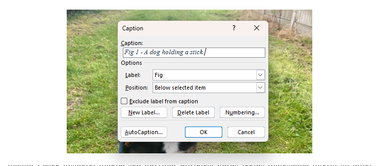 The Caption dialog box in Microsoft Word, with a caption typed into the text field, and the other settings adjusted to suit the purposes of the writer.