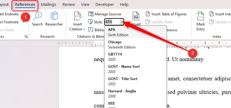 The citation style drop-down in Microsoft Word.