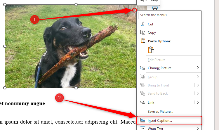 The Insert Caption option in Microsoft Word.