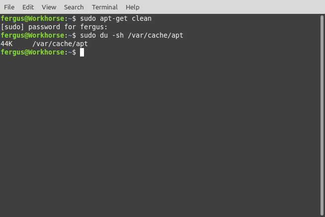 Picture of the terminal output when cleaning the Ubuntu cache.