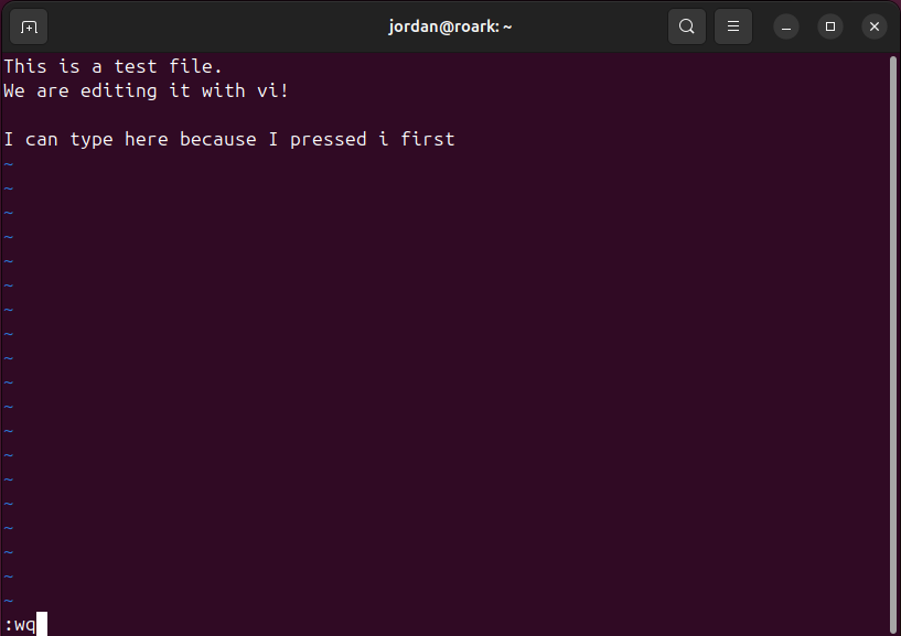 Vi text editor with the "wq" commmand typed at the bottom of the window.
