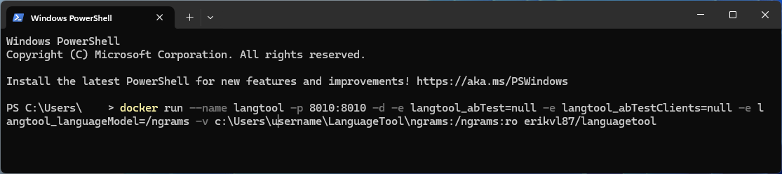 Running the LanguageTool Docker image from the Windows Terminal app.