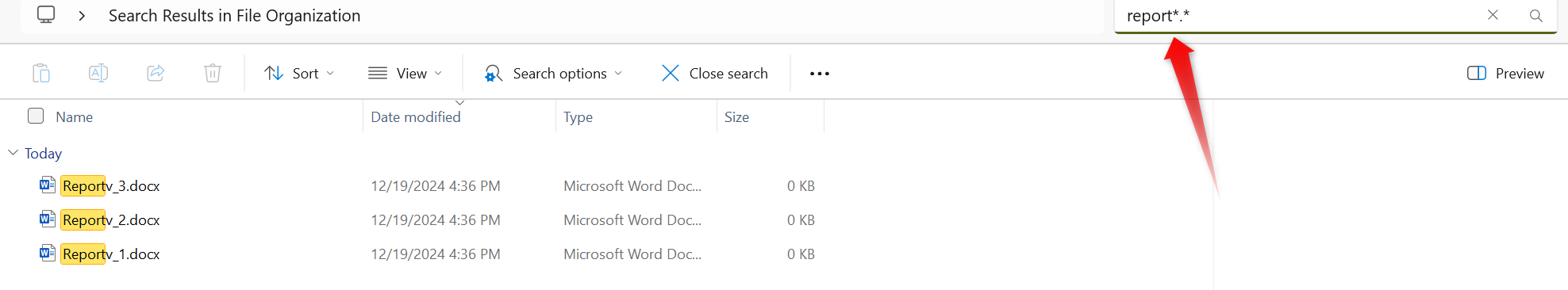 Searching for files using wildcards in File Explorer.