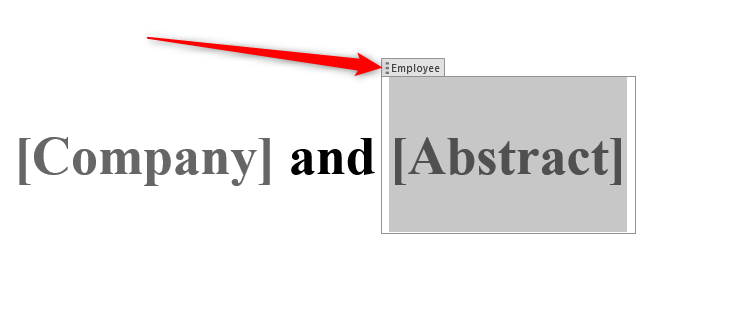 A Microsoft Word text field named 'Employee'.