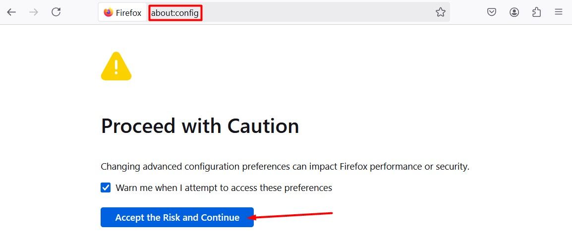 Accept the Risk and Continue option in Firefox.