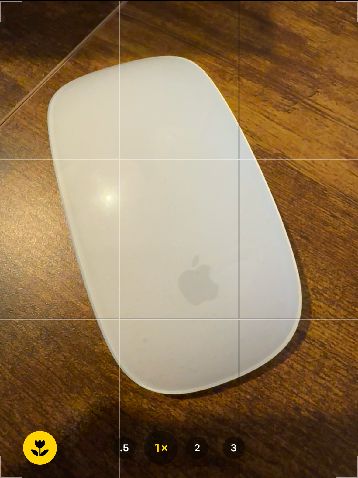 An Apple Mouse in the viewfinder of the iPhone Camera app.