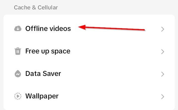 The offline videos tab in TikTok settings