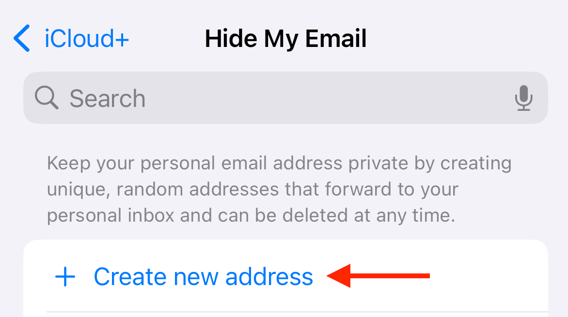 Create New Address button in iPhone settings.