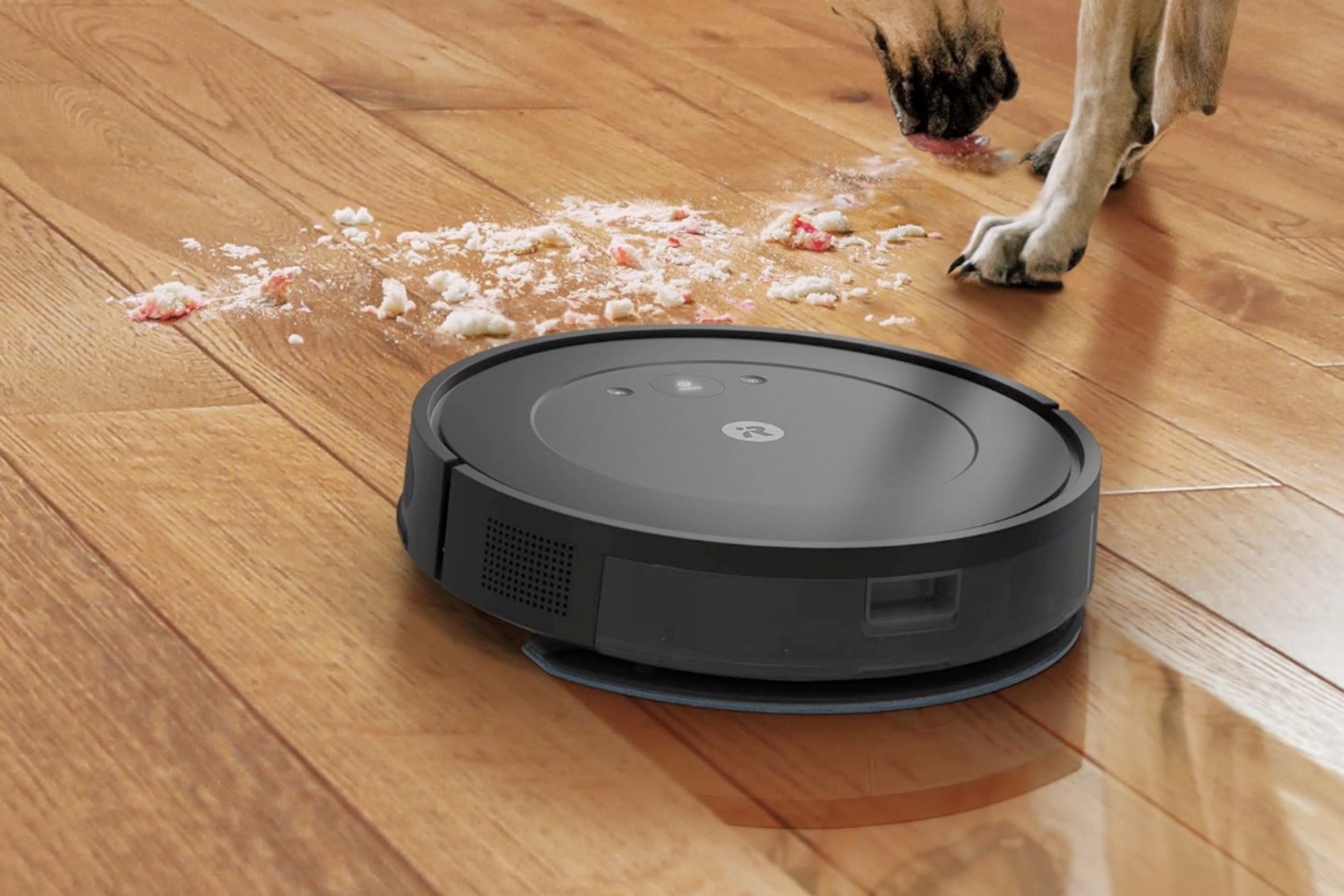 A family dog helps the iRobot Roomba Combo Essential with its vacuuming. 